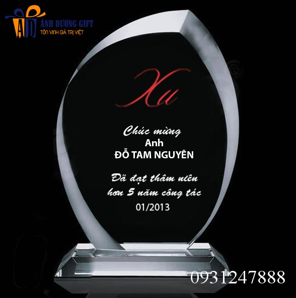 Kỷ niệm chương pha lê KNC00A5